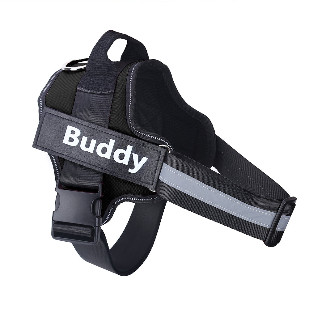 Personalized No-Pull Dog Harnesses