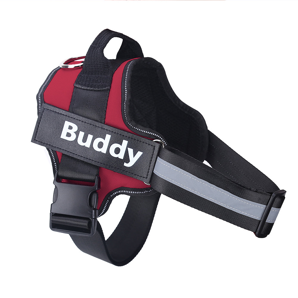 Personalized No-Pull Dog Harnesses